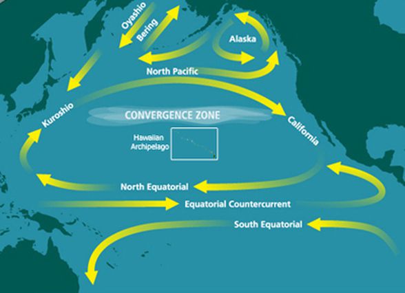 Okyanus akıntılarının ortak hareketi ile çöplerin adalar oluşturması