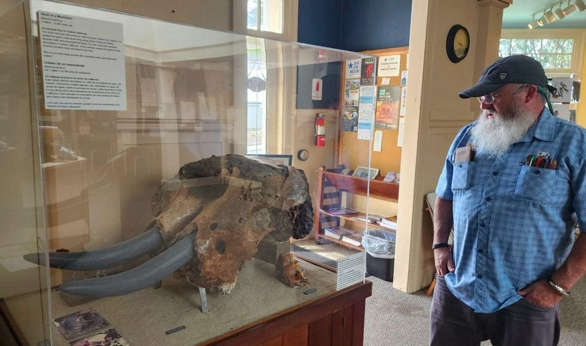 Ancient Mastodon Skull Discovered In Iowa