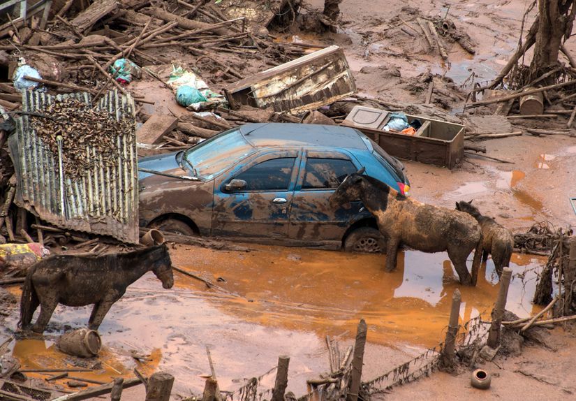 6 Kasım 2015 tarihinde Brezilya'nın Minas Gerais eyaletinde barajın çökmesi sonucu meydana gelen afette, canlılar ve çevrede ciddi zararlar meydana geldi.