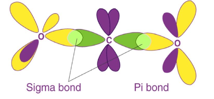 Sigma ve Pi bağları