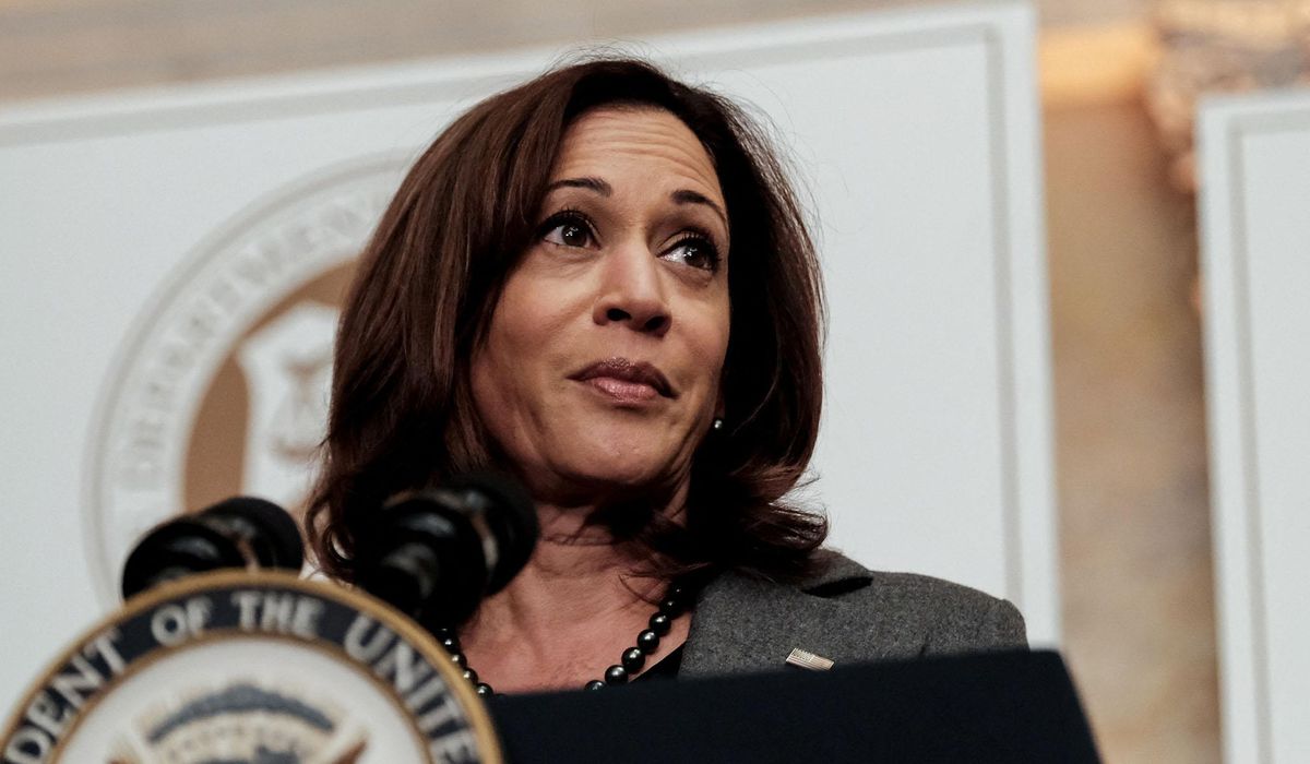 Kamala Harris Faces Backlash Over Price Control Proposal