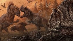 Dinozorlarda Kanibalizm (Yamyamlık) Var Olabilir mi? Dinozorların Torunları Olan Kuşlar, Yamyamlık Sergiler mi?