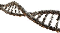 Genetik Materyal (Nükleotitler ve DNA), Cansızlıktan Canlılığın Evriminde Nasıl Bir Rol Oynadı?