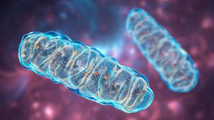 Mitochondria: The Ancient Symbionts Shaping Life's Energy Engines