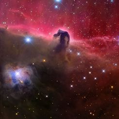  The Magnificent Horsehead Nebula 