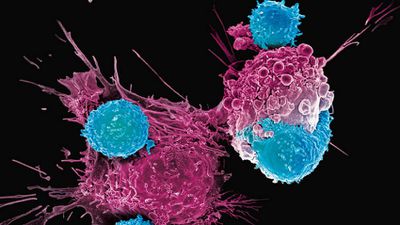 Kanser Tedavisinde Canlı İlaçlar: İmmünoterapi ve CAR-T Hücreleri