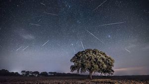 Perseid Meteor Shower And Northern Lights Dazzle Skywatchers