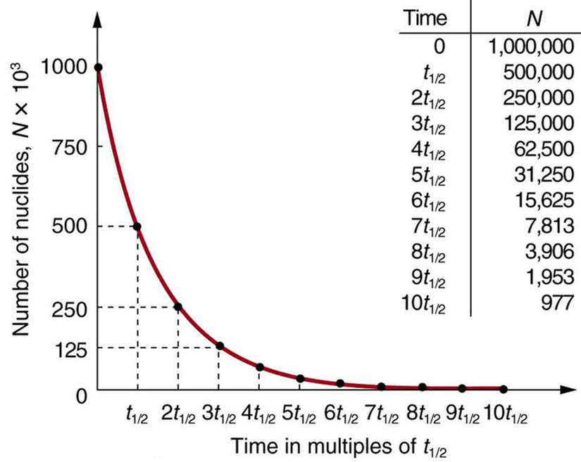 Görsel 1: İlk durumdaki radyoaktif çekirdek sayısı ile zaman arasındaki grafik