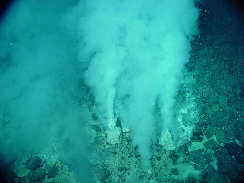 Hidrotermal baca. Yaşamın hidrotermal bacalar etrafında başlamış olduğu düşünülmektedir.