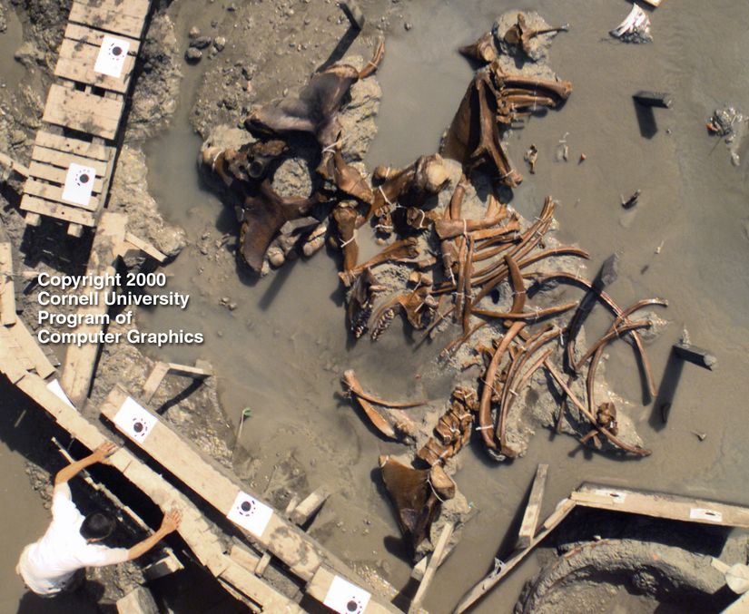 Cornell Üniversitesi'nden araştırmacıların Mastodon fosili üzerinde çalıştıkları bir kare.