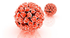 Sağlığımız İçin Önemli Duyuru: HPV ve Rahim Ağzı Kanseri
