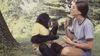 İnsan Dışı Hayvanlar, İnsanlar Gibi Konuşabilir mi? Maymunlar Neden İnsanlar Gibi Konuşamıyor?
