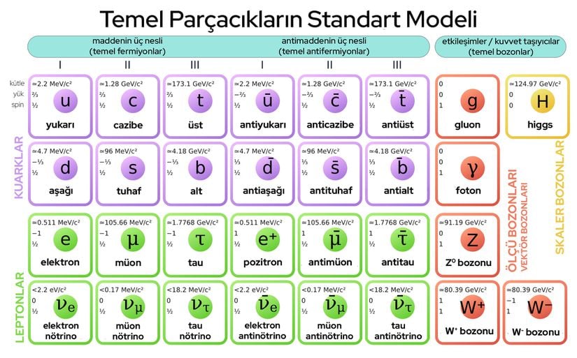 Temel Parçacıklar ve Standart Model