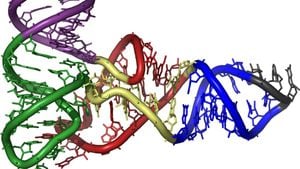 Taşıyıcı RNA