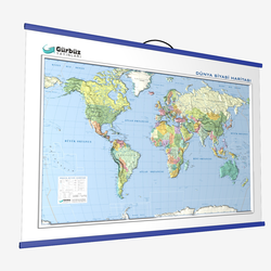 Dünya Kabartma Haritası: Siyasi, 70x100 cm