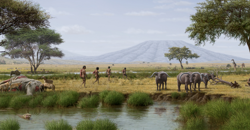 Tanzanya'da Olduvai Gorge bölgesinde avlanan Homo ergaster (1.8 - 1.3 MYÖ) grubu.