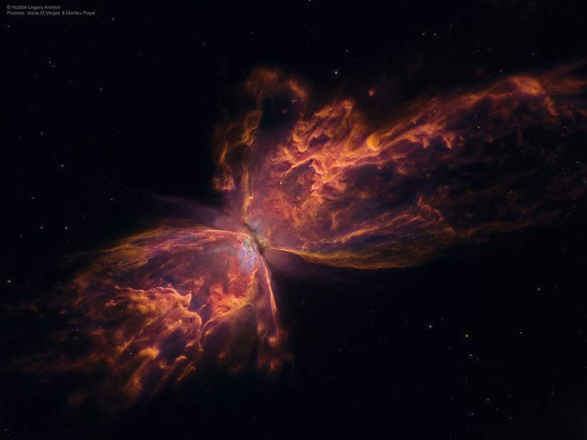Fotoğrafta gördüğünüz Kelebek Nebulası'nın yüzey sıcaklığının 250.000oC olduğu tahmin edilmektedir. Bu, Kelebek Nebulası'nın sıradışı bir sıcaklıkta olduğunu göstermektedir. Aslında bu nebuladan bol miktarda morötesi ışın yayılmaktadır; ancak bu ışınlar nebulanın yoğun toz bulutu içerisinde kaybolmaktadır.