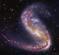 NGC 2442: Volans’ta Galaksi