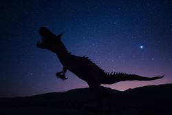 En gelişmiş dinozor türü nedir?