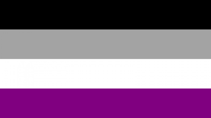 Yaygın olarak kabul gören &quot;aseksüellik gurur bayrağı&quot;.