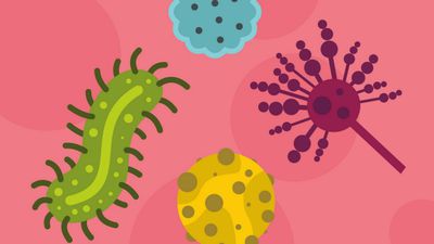 Bağışıklık Sisteminin, Eş Zamanlı Mantar ve Virüs Enfeksiyonları (Ko-Enfeksiyon) ile Aynı Anda Nasıl Baş Ettiği Çözülüyor!
