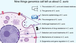 Can We Combat The Growing Threat Of Antifungal Resistance?