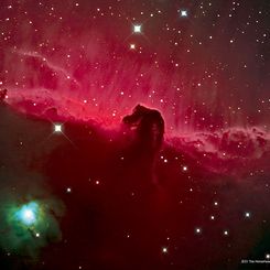  The Horsehead Nebula 