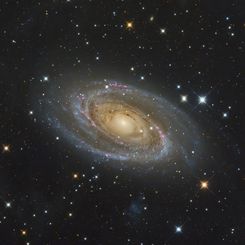  Messier 81 