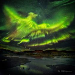 İzlanda Üzerinde Anka Kuşu Aurora