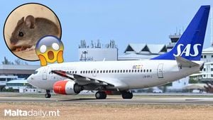 Mouse Surprise Lands Scandinavian Airlines Flight