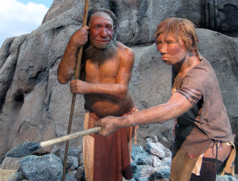 Almanya'daki Neandertal Müzesi'ndeki, Neandertal adam ve kadın modeli.