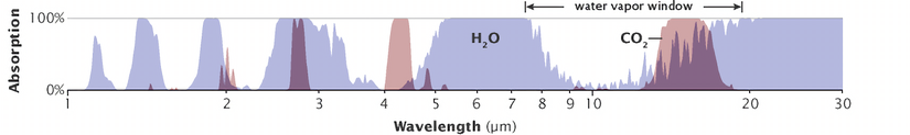 Tüm atmosferik gazların benzersiz bir enerji absorpsiyon modeli vardır: bazı dalga boylarındaki enerjiyi emerler, ancak diğerleri için şeffaftırlar. Su buharının (mavi tepeler) ve karbondioksitin (pembe tepeler) absorpsiyon modelleri bazı dalga boylarında örtüşür. Karbondioksit, su buharı kadar güçlü bir sera gazı değildir, ancak su buharının yapmadığı dalga boylarında (12-15 mikrometre) enerjiyi emer, yüzey tarafından yayılan ısının normalde uzaya kaçacağı “pencereyi” kısmen kapatır.