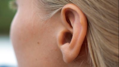 Kulak Kiri Nedir, Neden Önemlidir? Kulak Kiri Temizlenmeli mi?