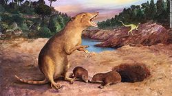 225 milyon yıl önce yaşayan kır faresi benzeri bir yaratık, şimdiye kadar tanımlanmış en eski memelidir.