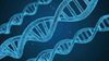 Genomik Nedir? Genom, Transkriptom ve Proteom Gibi Genetik Terimler Ne Anlama Gelir?