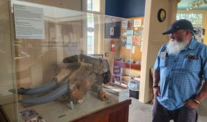 Ancient Mastodon Skull Discovered In Iowa