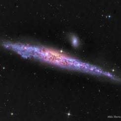  NGC 4631: The Whale Galaxy 