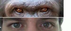 İşbirlikçi Göz Hipotezi: Evrim Göz Renklerimizin Ön Plana Çıkmasını Sağlamış Olabilir!