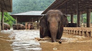 Flash Flooding Claims Lives And Elephants In Thailand