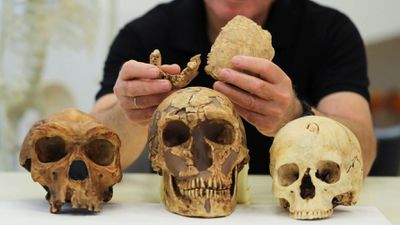 Nesher Ramla Homo Tipi: İsrail'de Yeni Bir İnsan Türüne Ait Fosiller Keşfedildi!