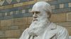 Darwin'in Ölüm Sebebi Neydi?