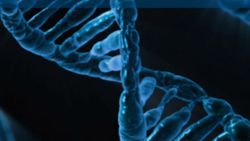 DNA Neden İkili Sarmal Yapıdadır?