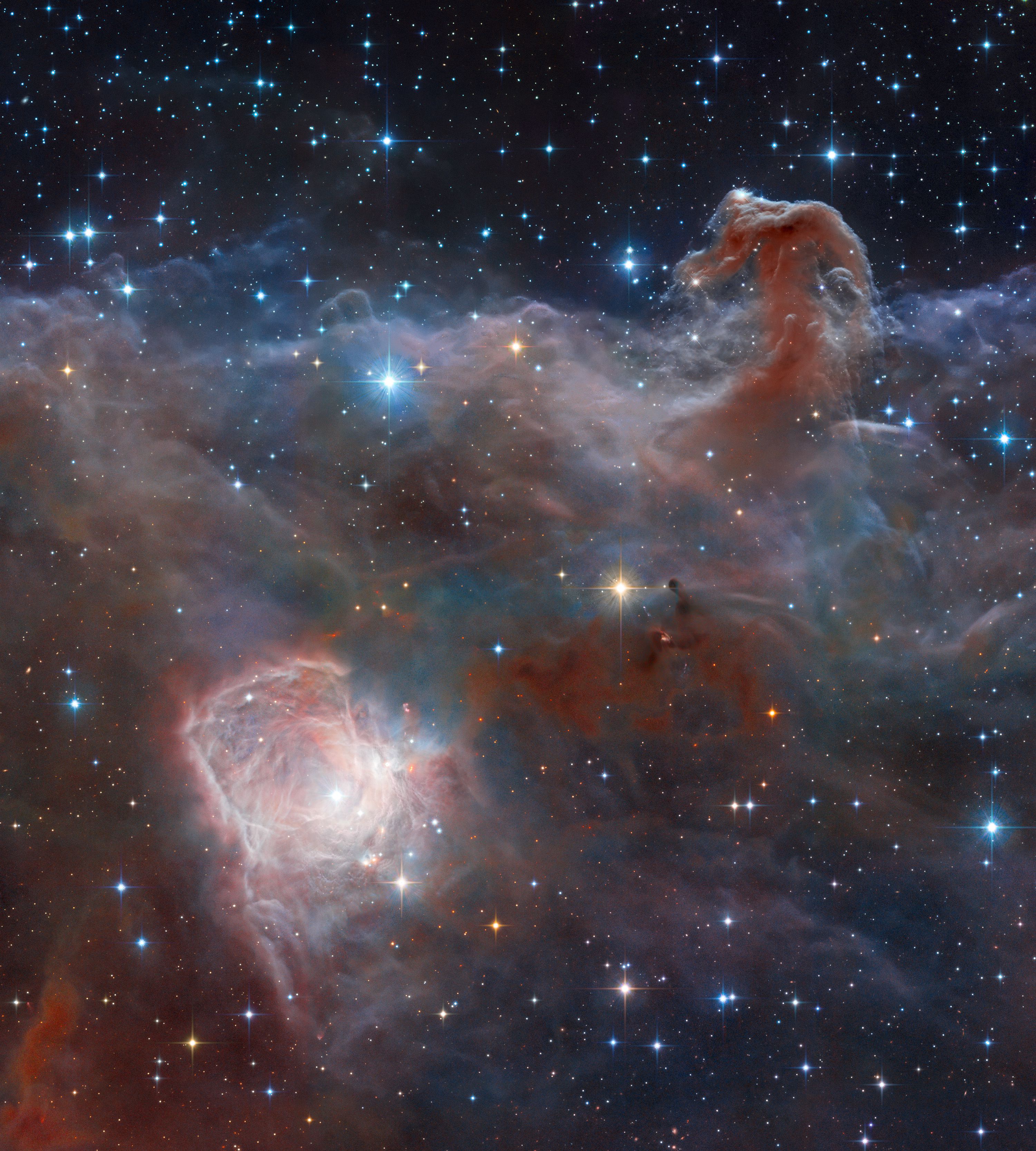  Horsehead: A Wider View 