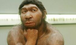 Neandertallerin beyinleri günümüzdeki yaşayan insanlarda daha iri olmasına rağmen neden bizler kadar gelişemediler? Sebep soğukla mücadeleleri mi?