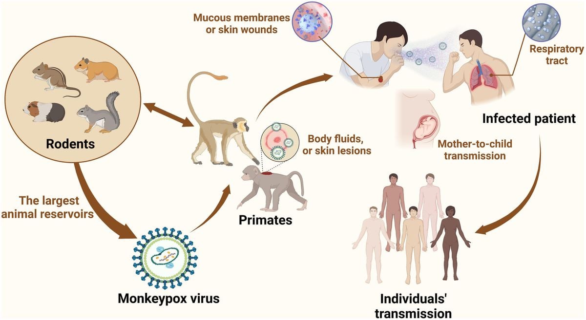 India Enhances Readiness Amid Monkeypox Concerns - The Pinnacle Gazette