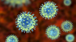 Virüslerde Karmaşık Mutasyonlar: Virüslerin Evrim Hızını Tahmin Etmek Neden Zordur?