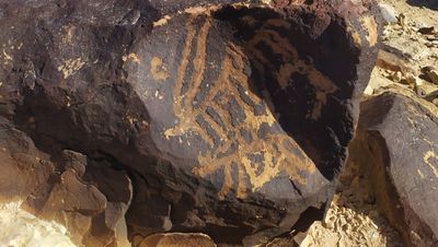 Çölde Yaşayan Mantar ve Likenler 5.000 Yıllık Kaya Sanatı İçin Büyük Bir Tehdit!
