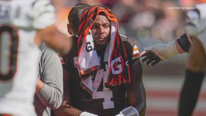 Browns Fans Face Backlash Over Watson's Injury