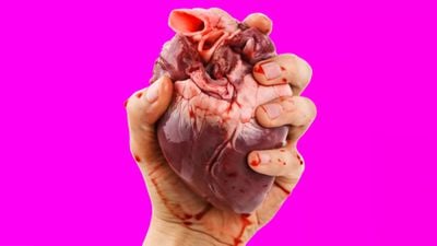Gerçek İnsan Hücreleri ile Çalışan Bir Kalp Pompası, Üç Boyutlu Olarak Sıfırdan Üretildi!