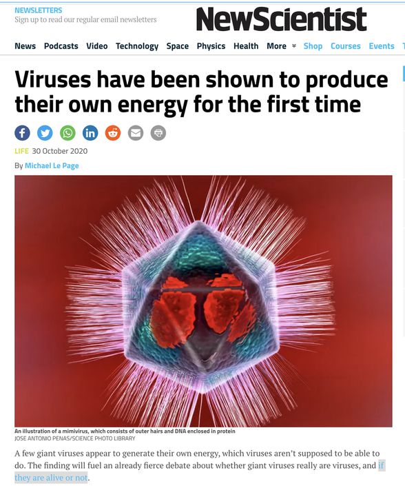 Virüslerin canlı mı, cansız mı olduğu ile ilgili tartışmalar